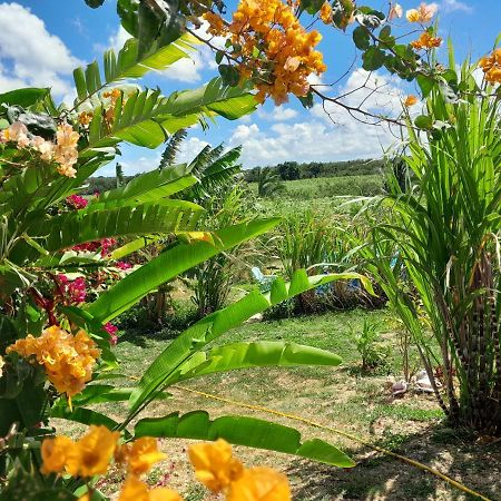 Location Vacances Guadeloupe Gite Et Table D'Hotes Kaz A Klemence Anse-Bertrand מראה חיצוני תמונה