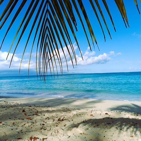 Kaz A Klemence Gite Creole Avec Piscine Et Table Dhotes A Anse Bertrand מראה חיצוני תמונה