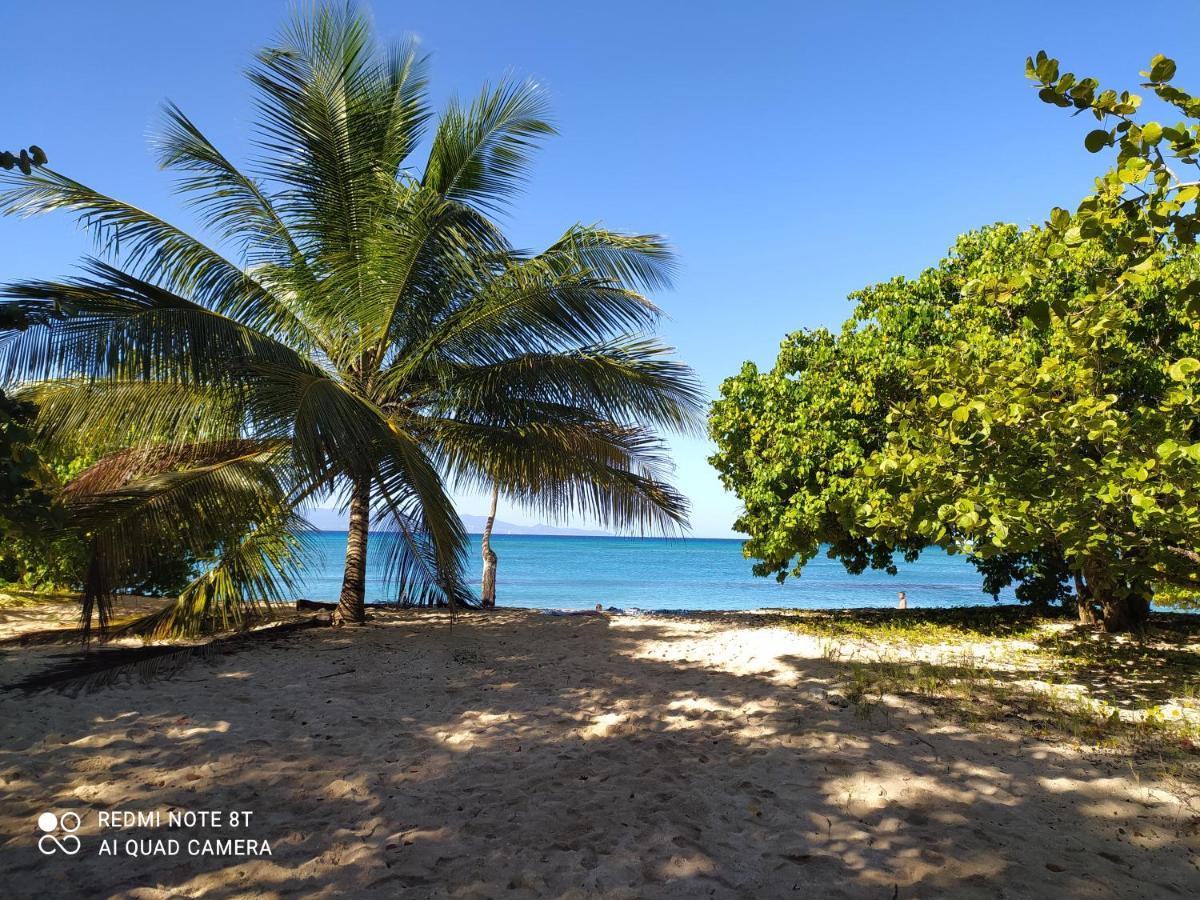 Location Vacances Guadeloupe Gite Et Table D'Hotes Kaz A Klemence Anse-Bertrand מראה חיצוני תמונה