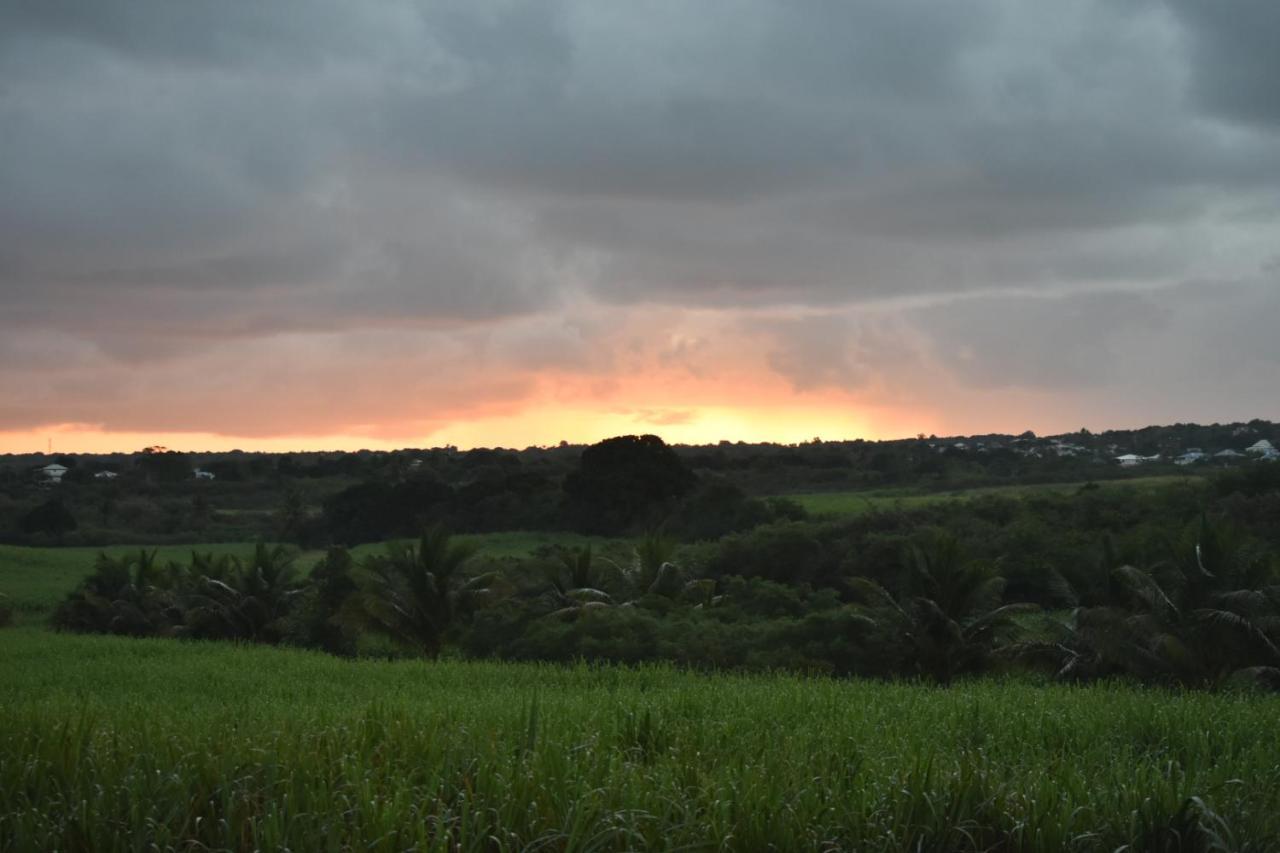 Location Vacances Guadeloupe Gite Et Table D'Hotes Kaz A Klemence Anse-Bertrand מראה חיצוני תמונה