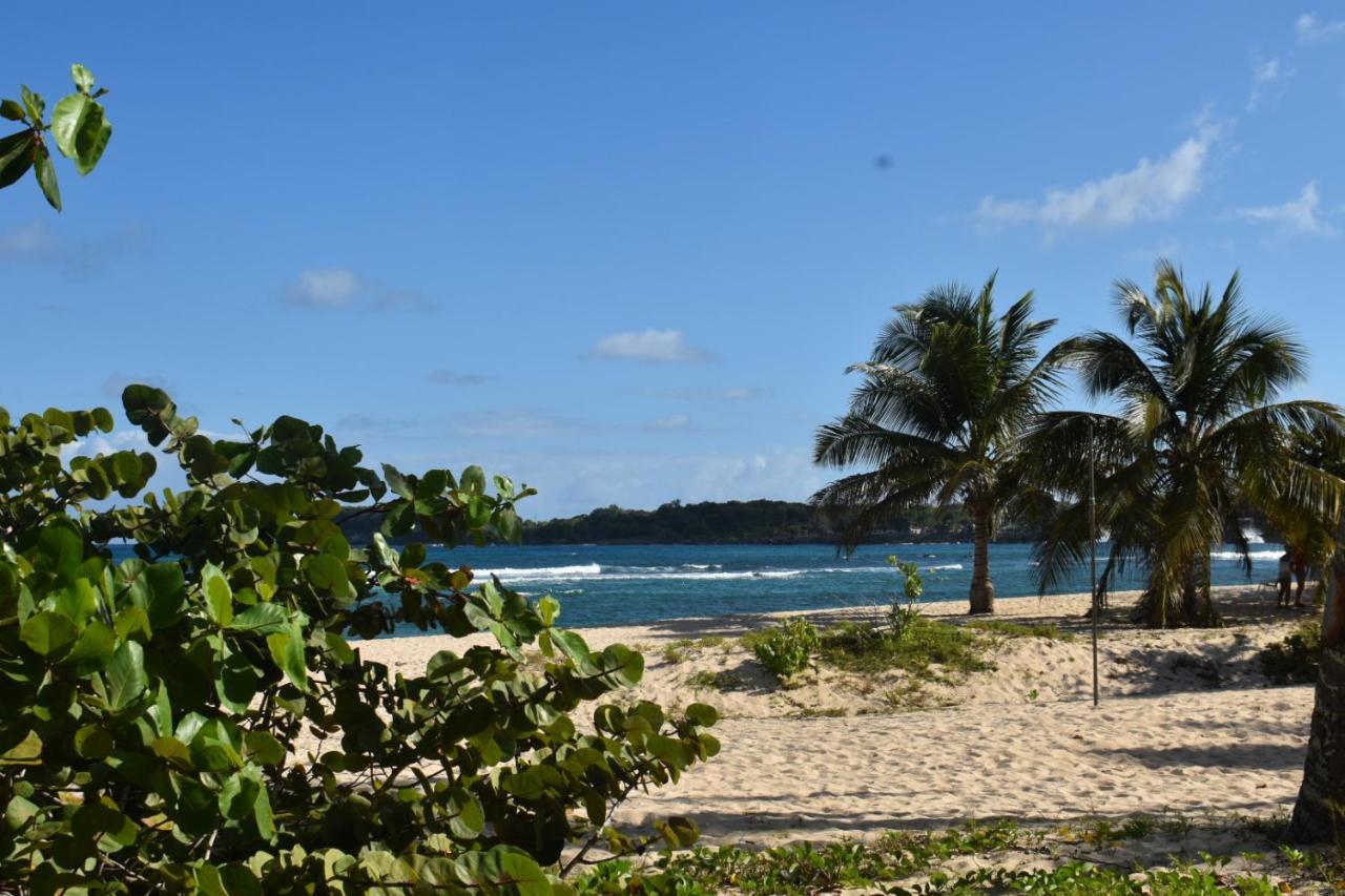 Kaz A Klemence Gite Creole Avec Piscine Et Table Dhotes A Anse Bertrand מראה חיצוני תמונה