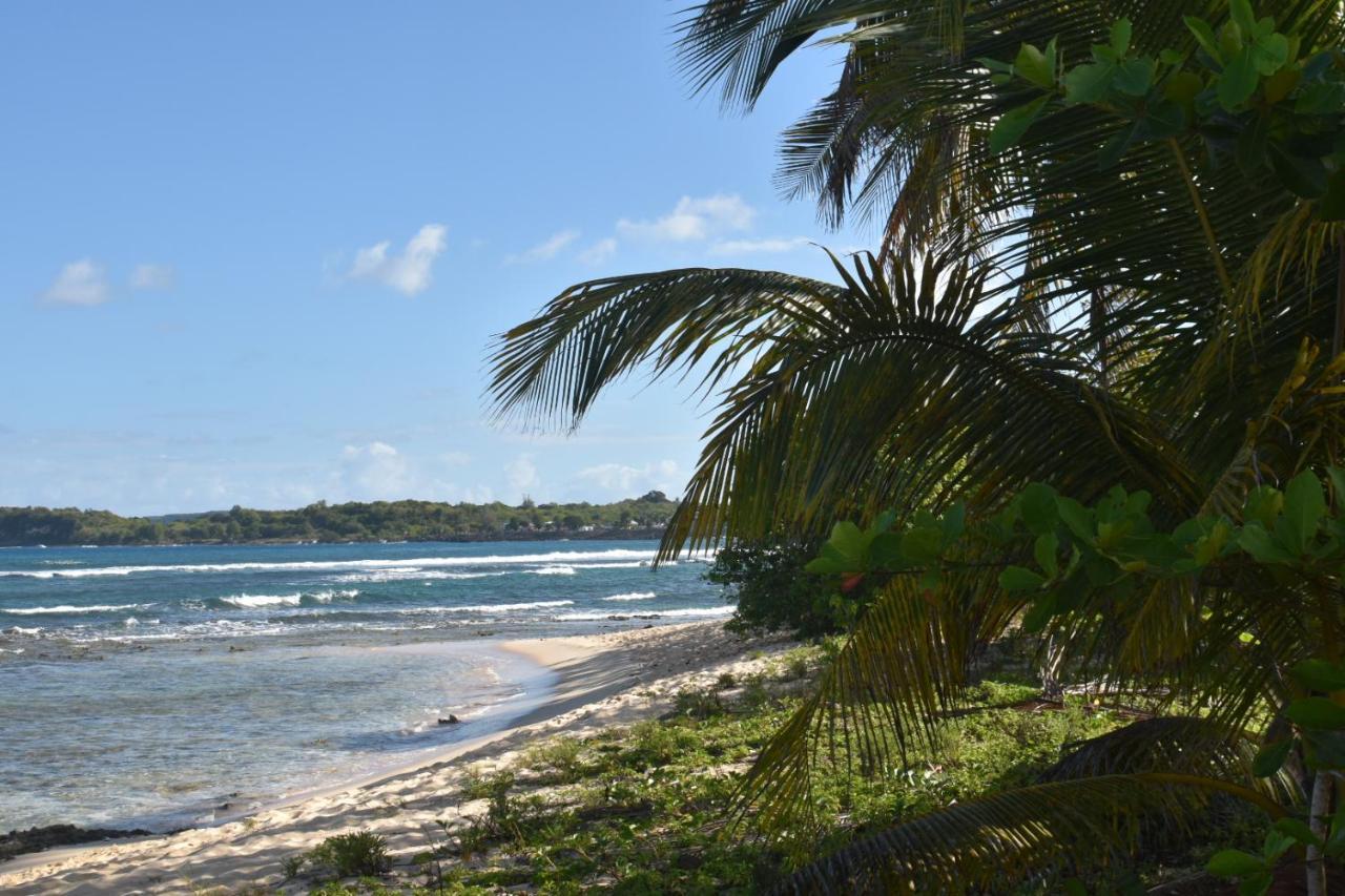 Location Vacances Guadeloupe Gite Et Table D'Hotes Kaz A Klemence Anse-Bertrand מראה חיצוני תמונה