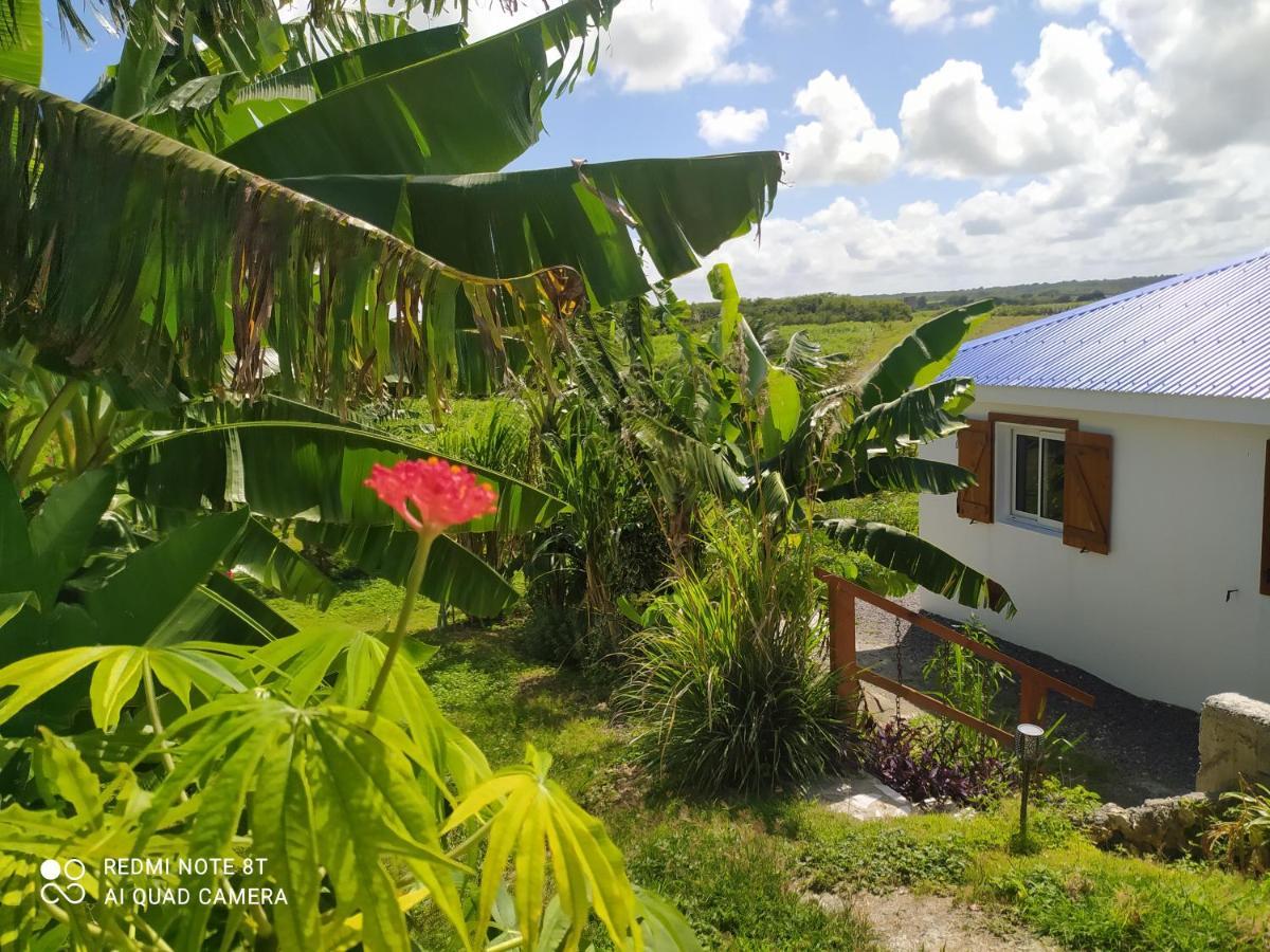 Location Vacances Guadeloupe Gite Et Table D'Hotes Kaz A Klemence Anse-Bertrand מראה חיצוני תמונה