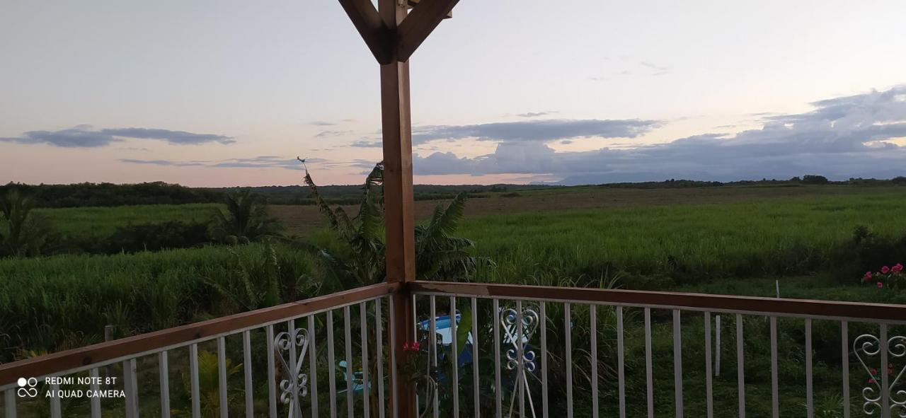 Kaz A Klemence Gite Creole Avec Piscine Et Table Dhotes A Anse Bertrand מראה חיצוני תמונה