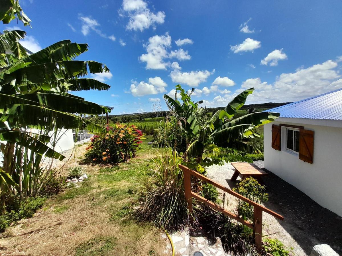 Location Vacances Guadeloupe Gite Et Table D'Hotes Kaz A Klemence Anse-Bertrand מראה חיצוני תמונה