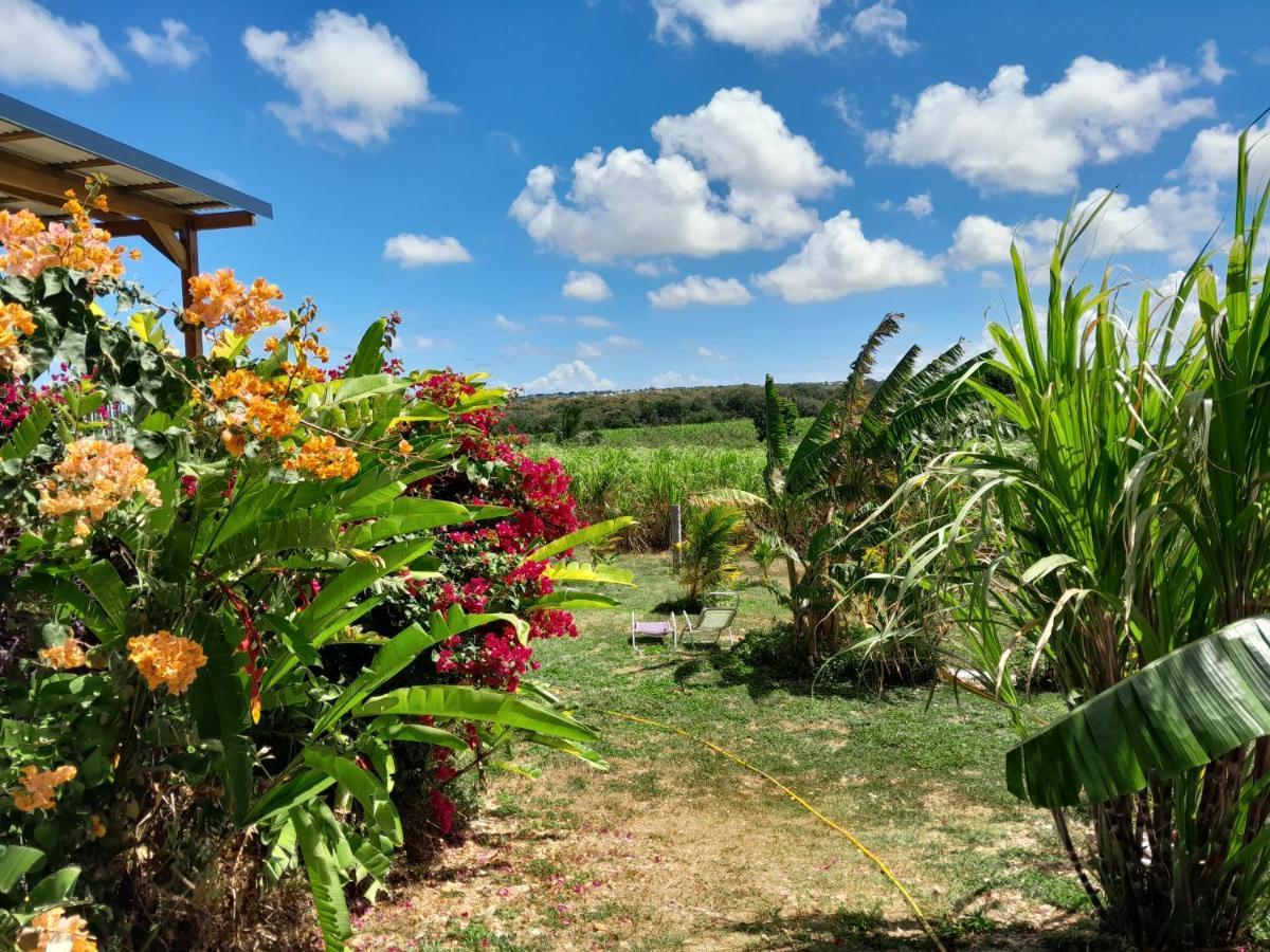 Location Vacances Guadeloupe Gite Et Table D'Hotes Kaz A Klemence Anse-Bertrand מראה חיצוני תמונה