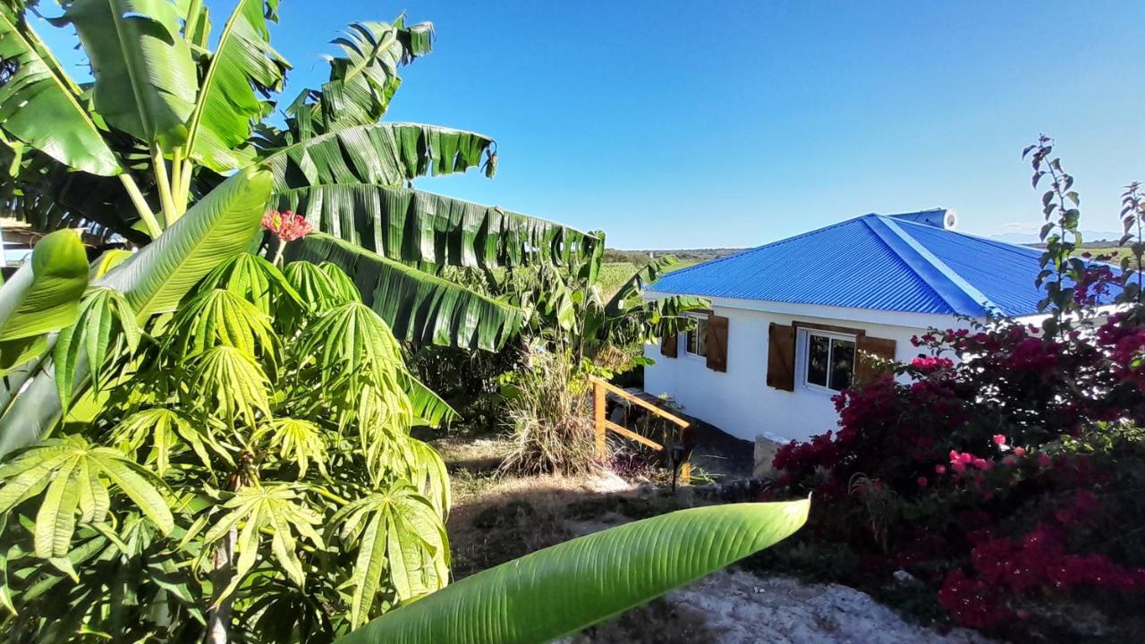 Location Vacances Guadeloupe Gite Et Table D'Hotes Kaz A Klemence Anse-Bertrand מראה חיצוני תמונה