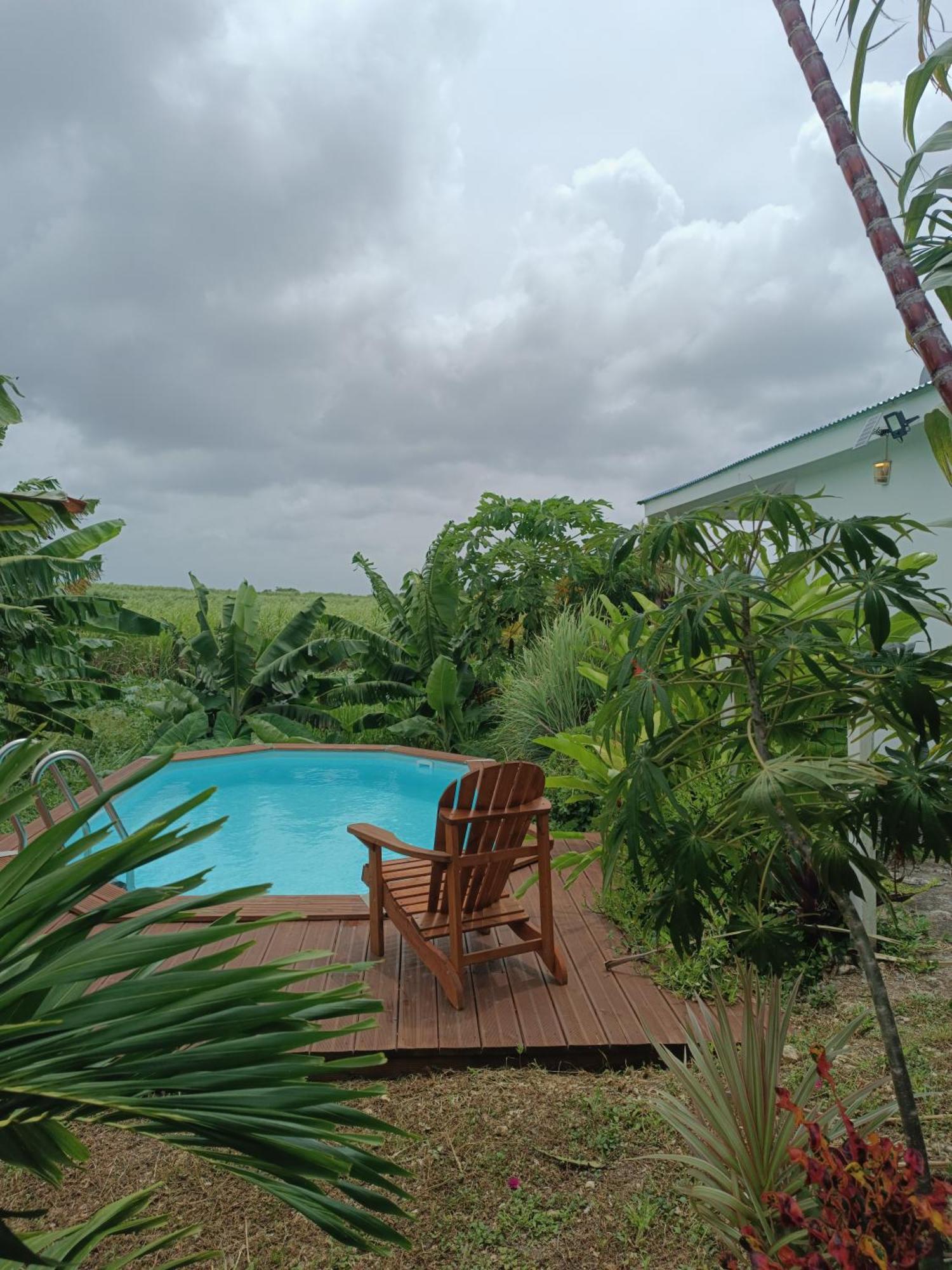 Kaz A Klemence Gite Creole Avec Piscine Et Table Dhotes A Anse Bertrand מראה חיצוני תמונה